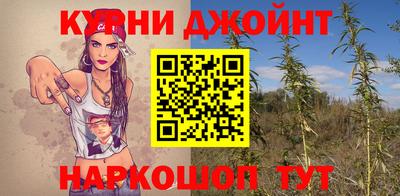 прущие грибы Новозыбков