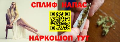 стаф Новокубанск
