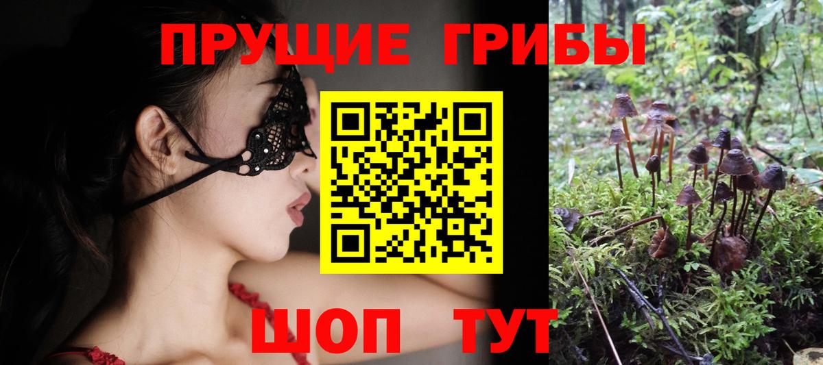 Анжеро-Судженск  Галлюциногенные грибы ЛСД  купить наркотики сайты  Вход с VPN 